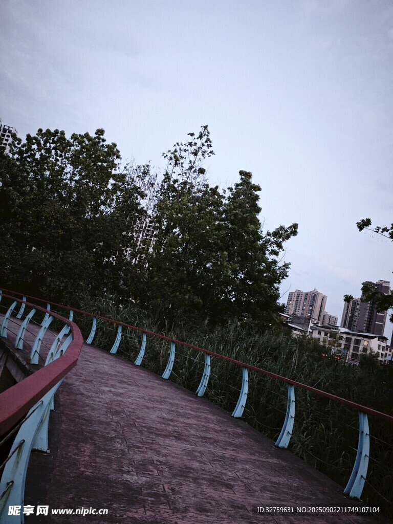 林间步道