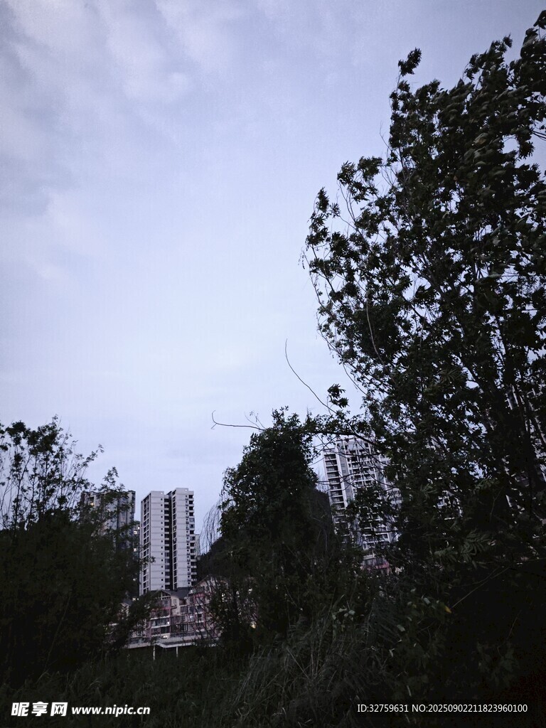 林间远望高楼景色