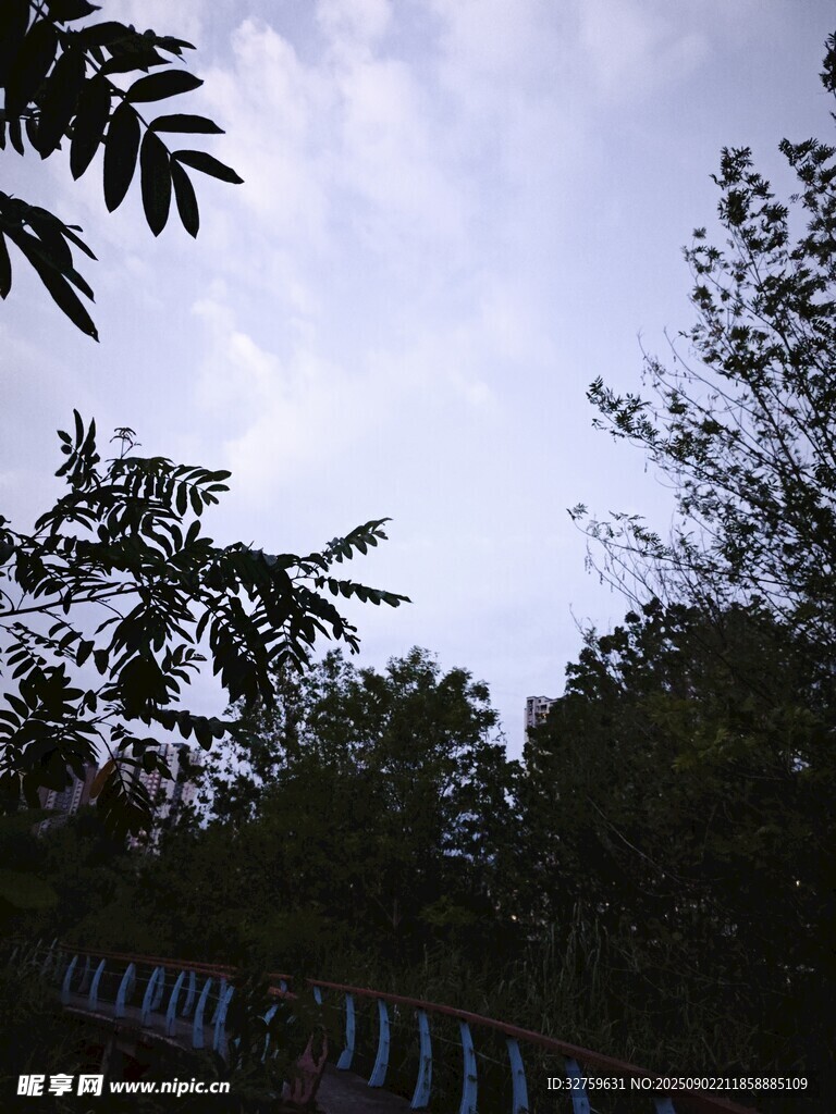 树林间的围栏与天空景色