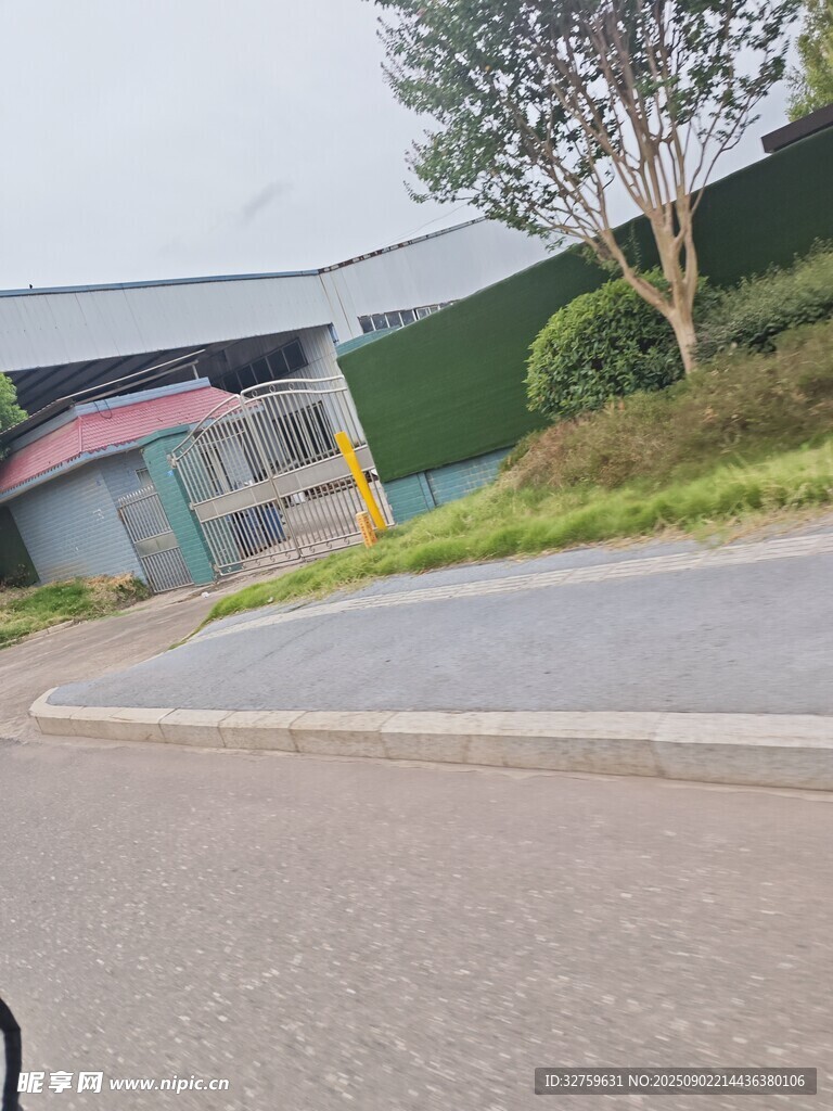 道路旁的彩色建筑与绿植