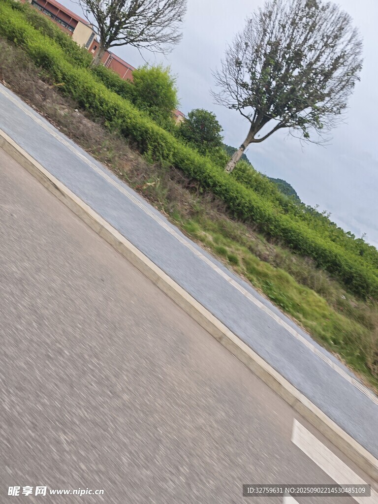 乡村路边风景