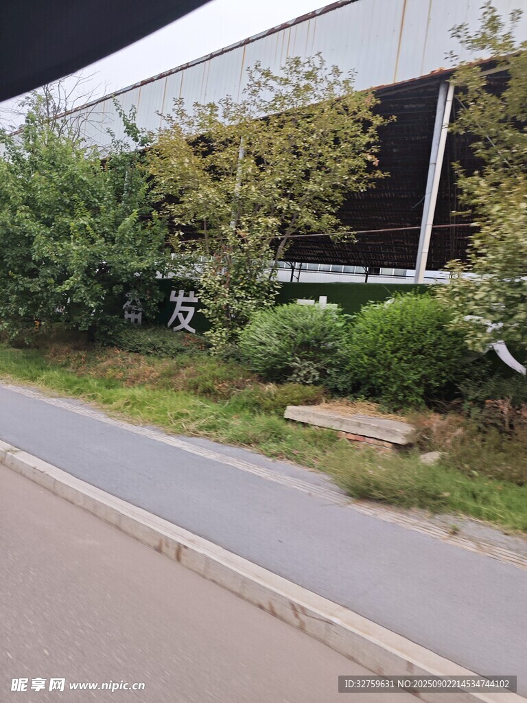 路边绿植与建筑物景观