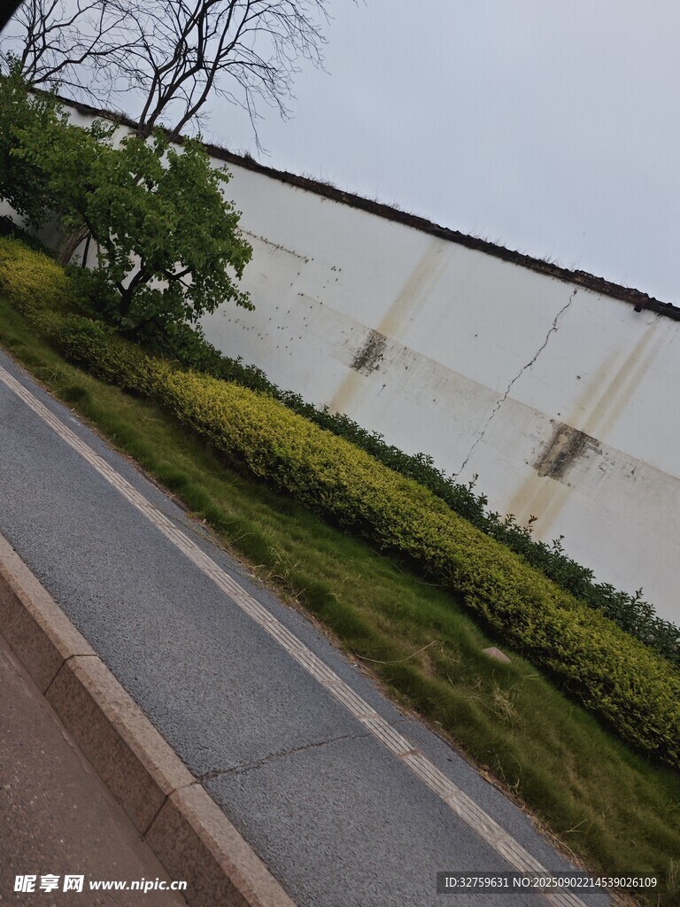 路边绿植与白色墙面景观