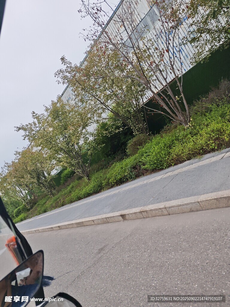 骑行视角下的道路与绿植