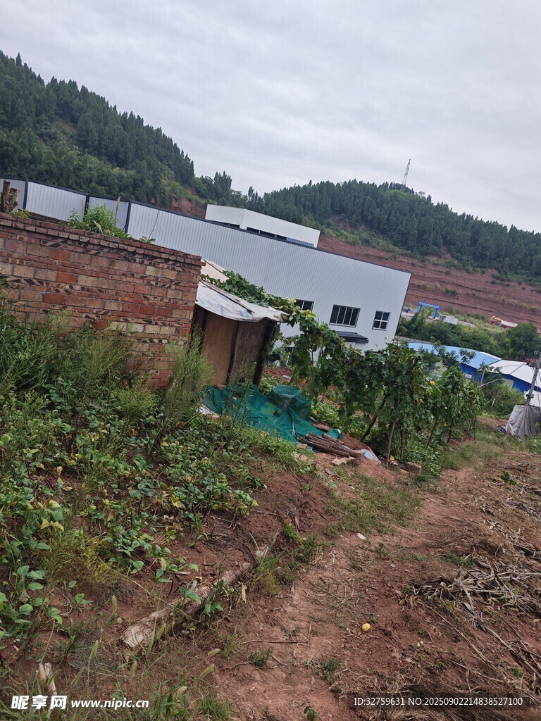 乡村田野旁的简易小屋