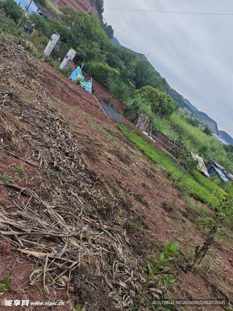 农田翻耕后的景象