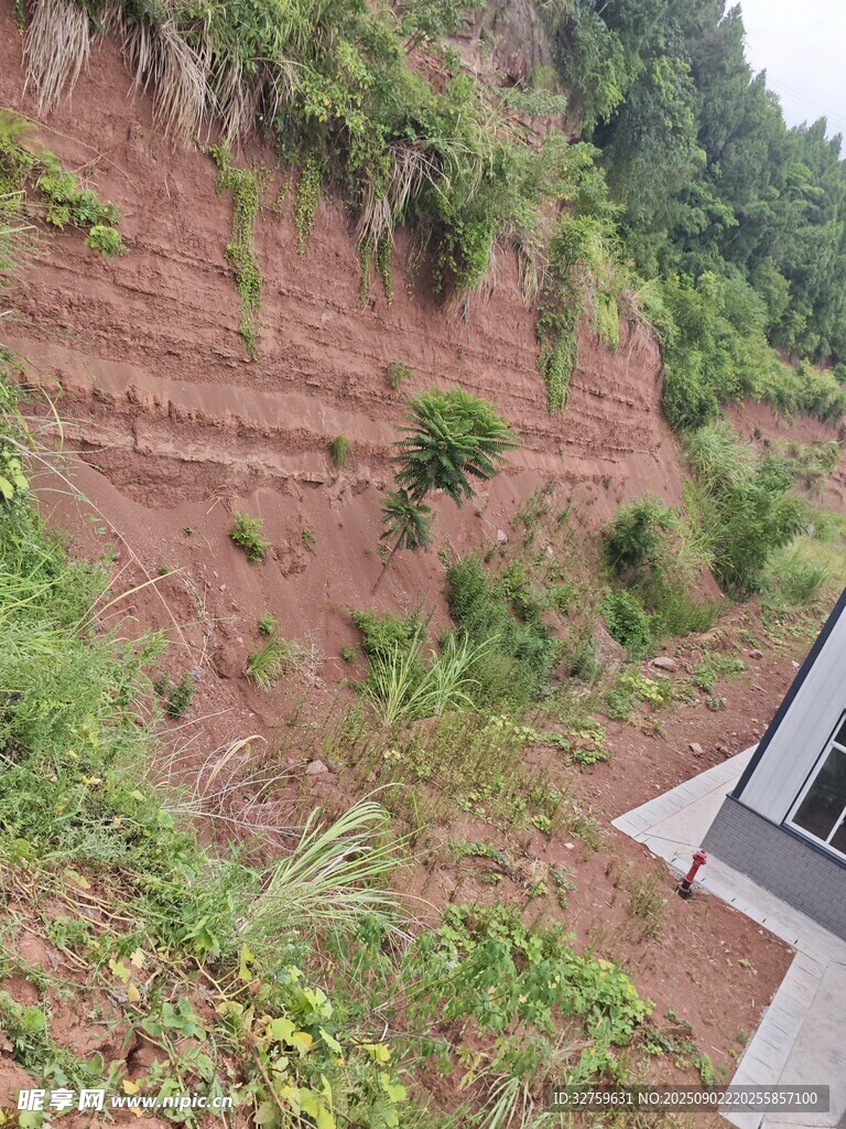 山坡红土与绿植景观
