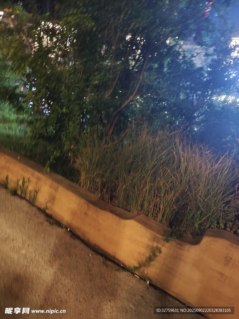 路边绿植景观