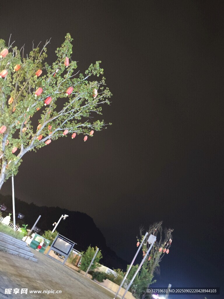 夜空下的绿植与灯光景观