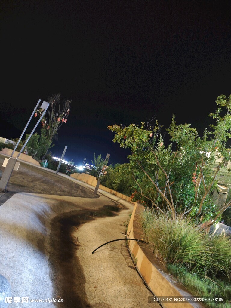 夜晚路边绿植与昏暗灯光