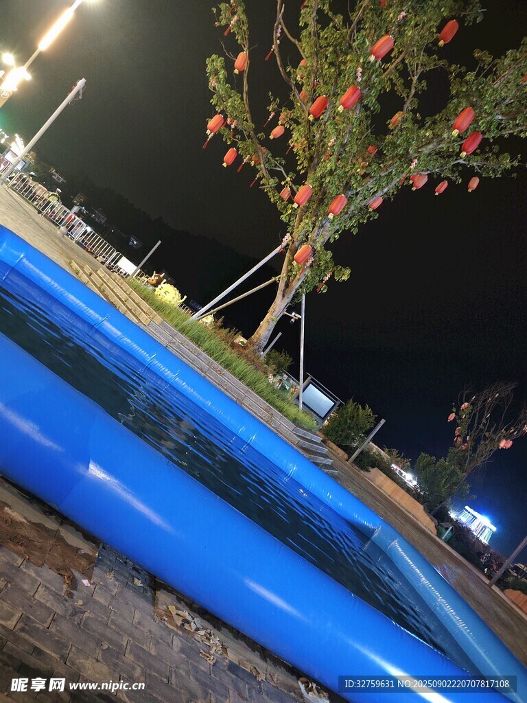 夜晚泳池旁的果树景观