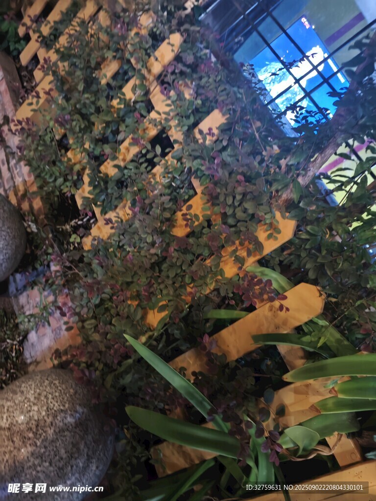 室内绿植景观