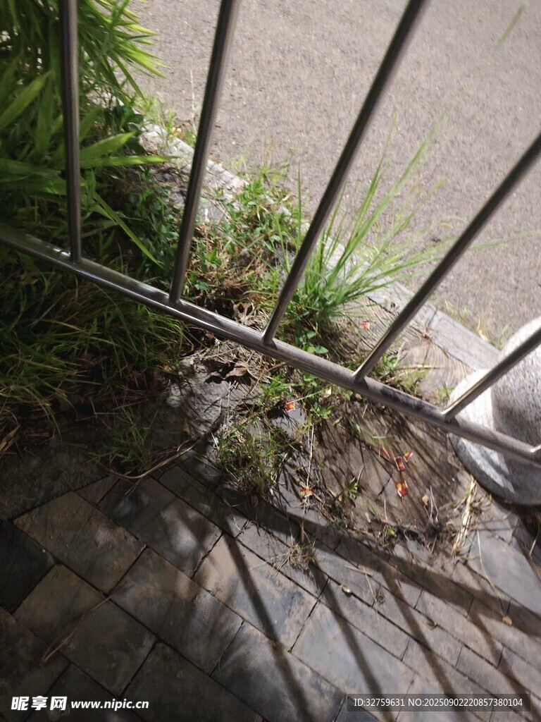 铁栏边的绿植与地面景象
