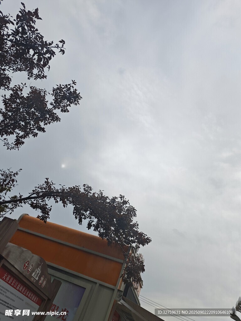 中式建筑旁的天空与树枝