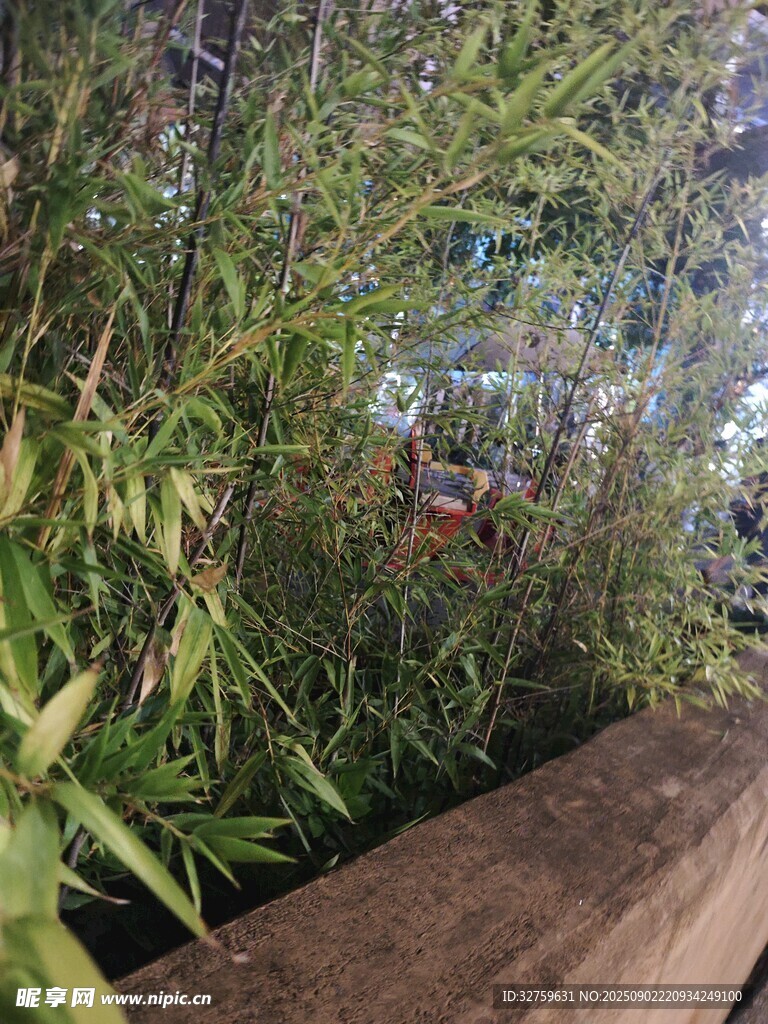 木栏边的翠绿植物景观