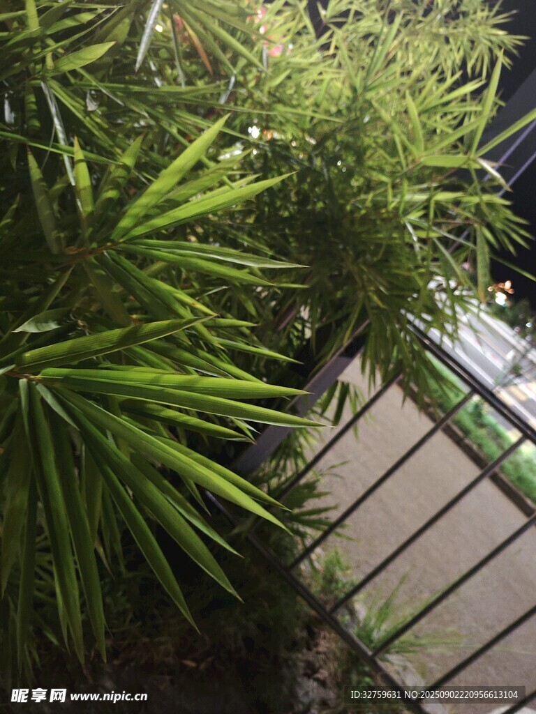 户外绿植与金属围栏景观