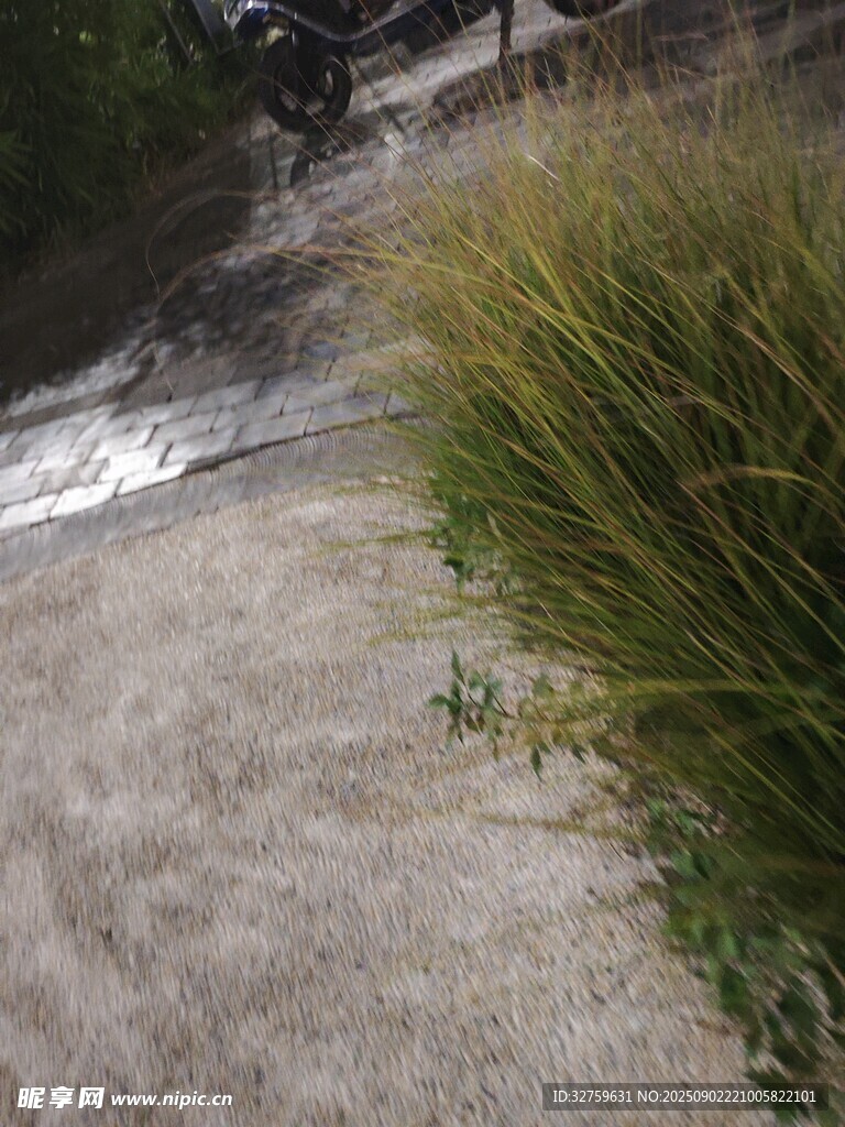 户外沙土地与绿植景观