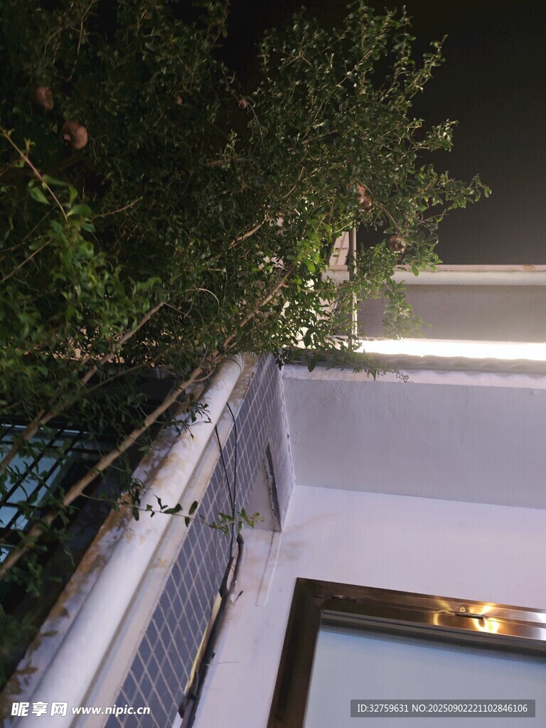 屋顶绿植景观