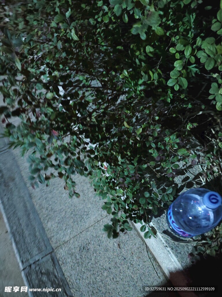 路边绿植旁的蓝色物件