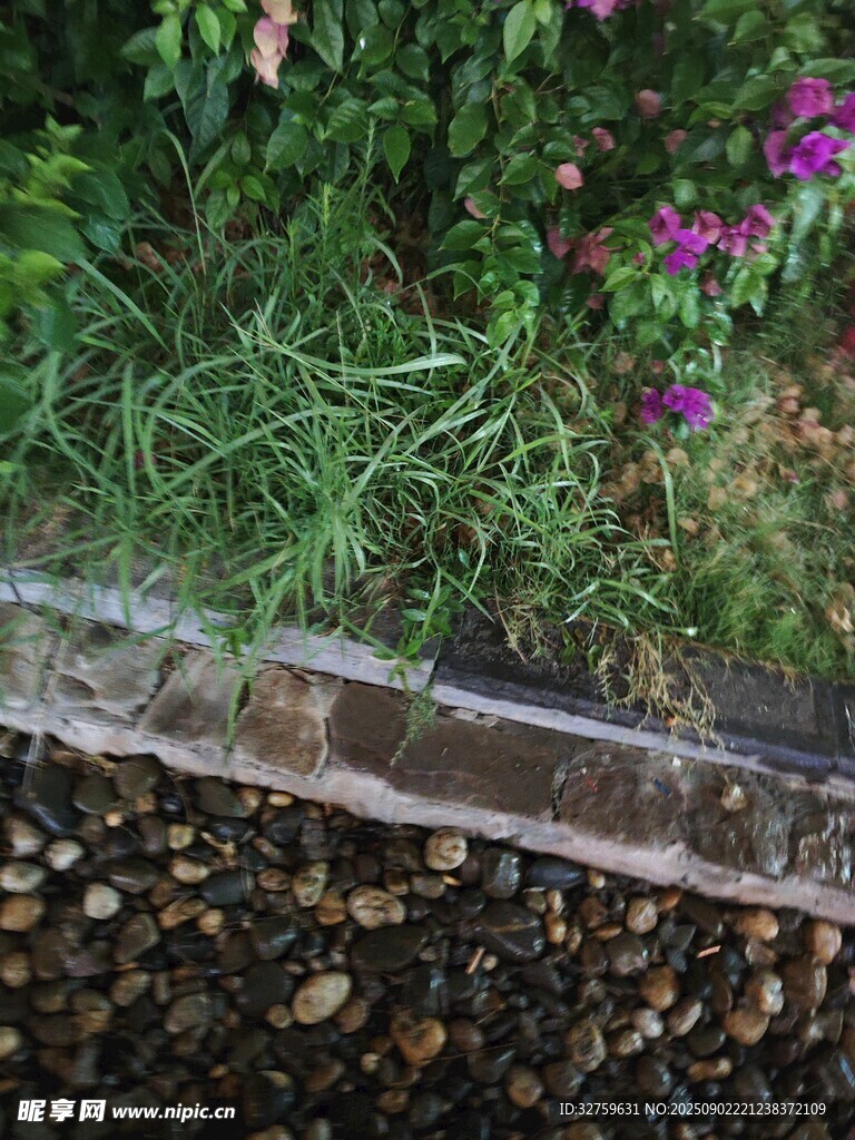 路边花草与石块景观