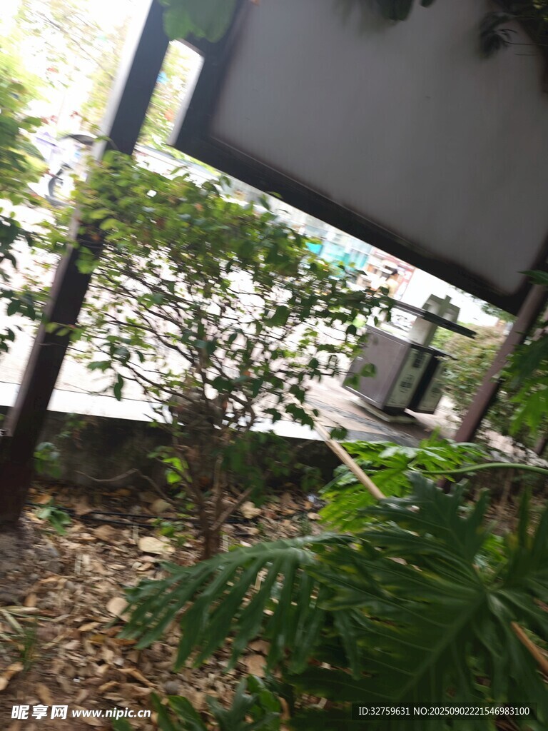 户外绿植与电子设备场景
