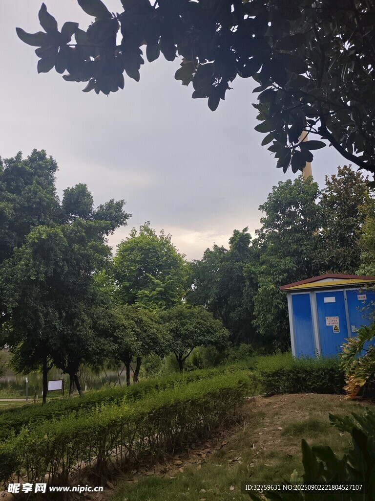 公园中的蓝屋与绿植景观