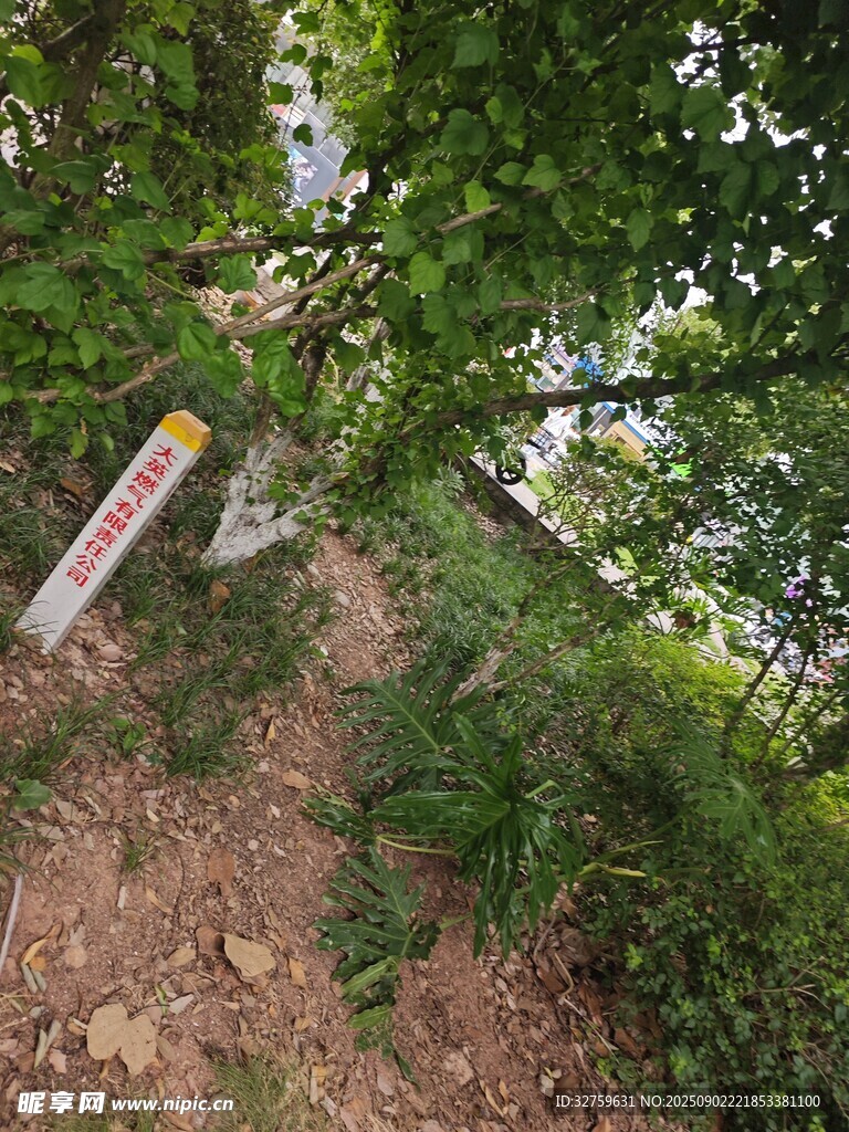 林间小径上的指示标志