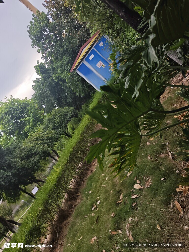 户外绿植中的蓝色标识牌