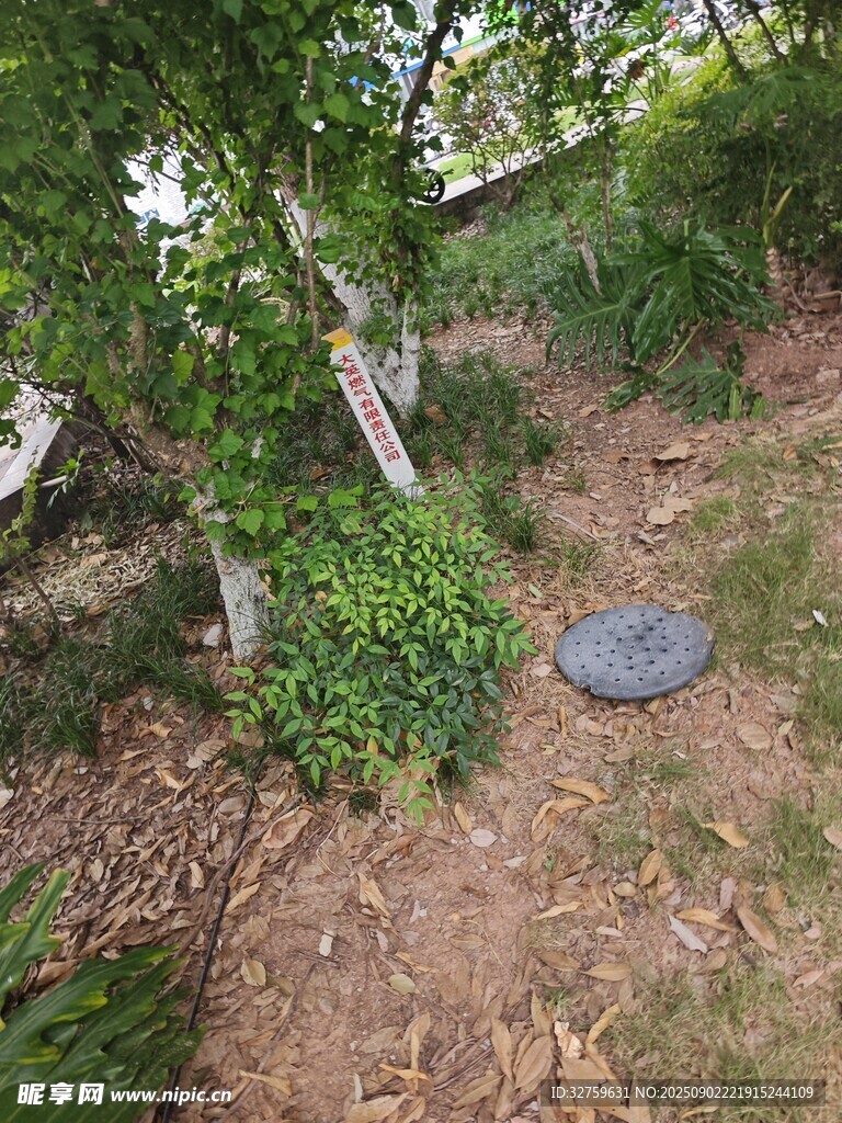 林间地面的圆形井盖