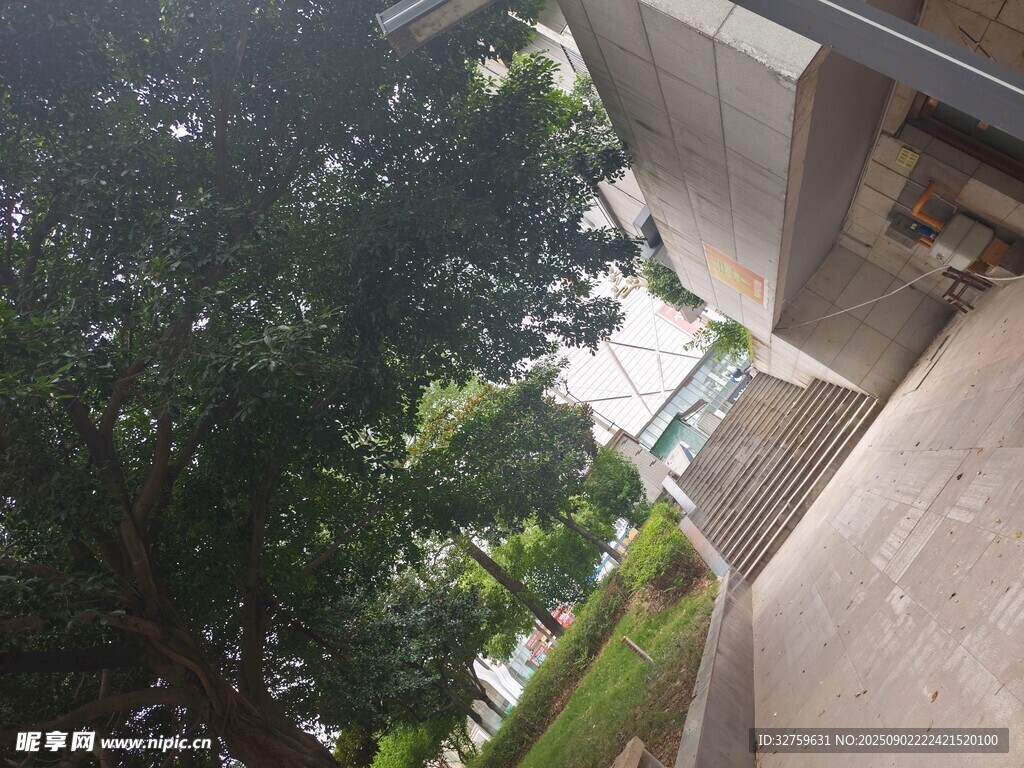 户外绿树旁的建筑一角