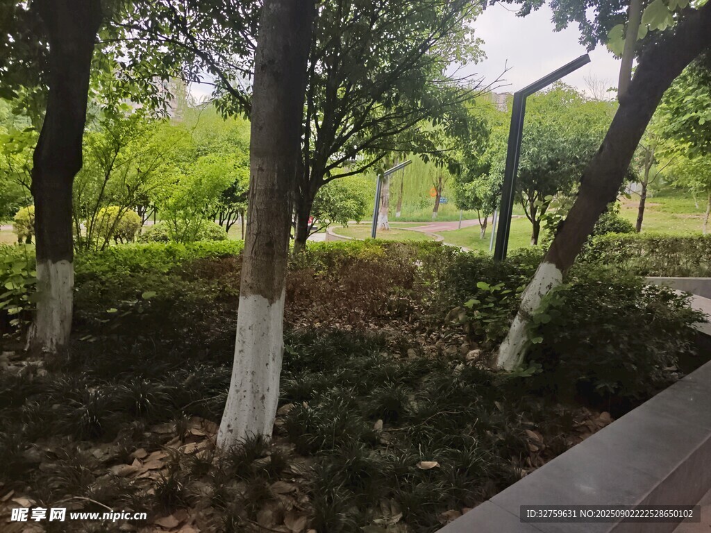 城市中的静谧绿植景观