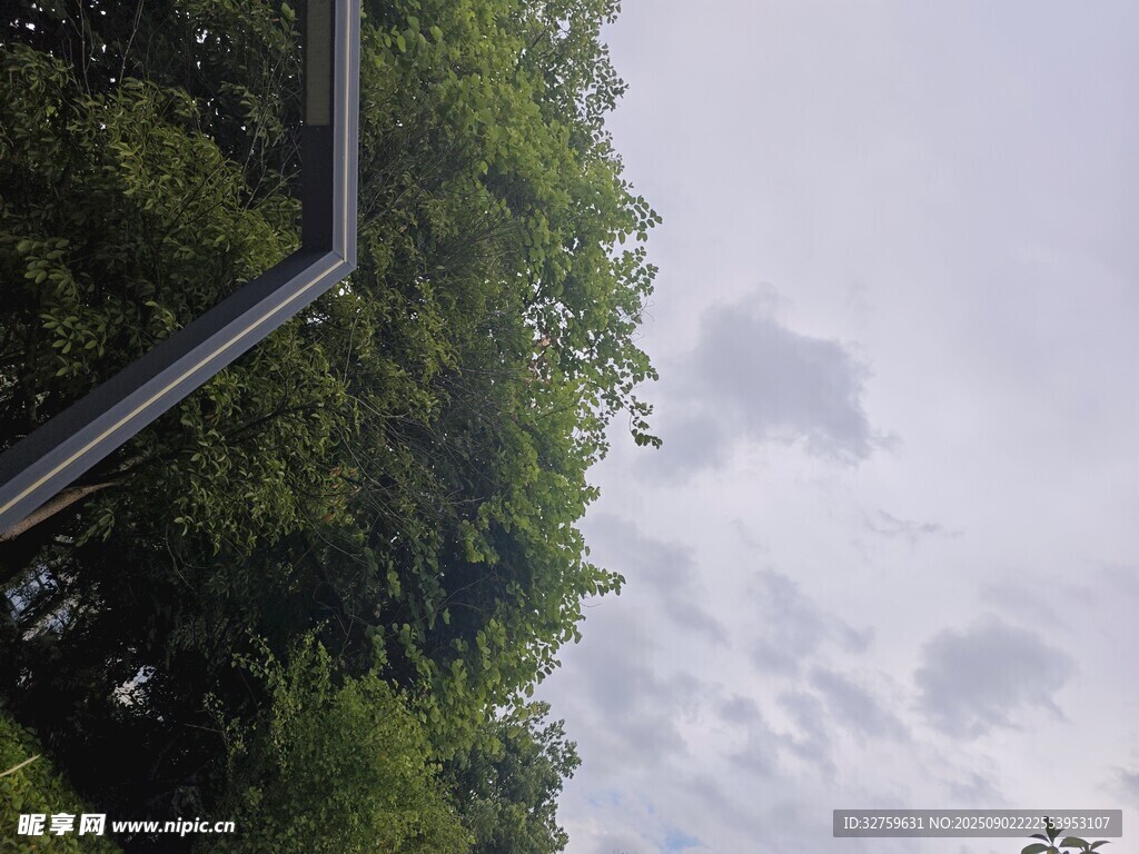 绿树与天空的自然景致