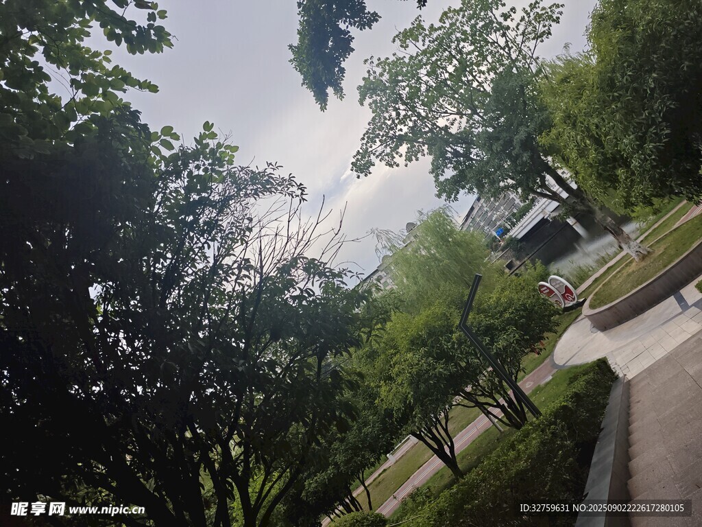 公园林荫小道风景