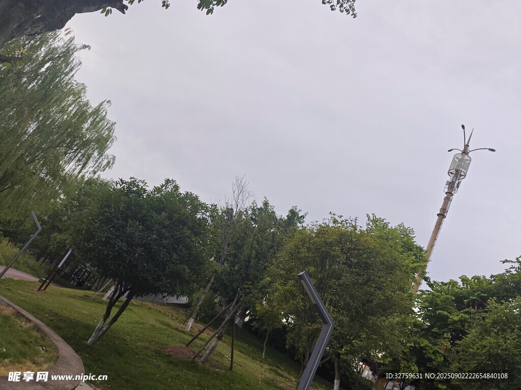 户外绿树环绕的开阔场景