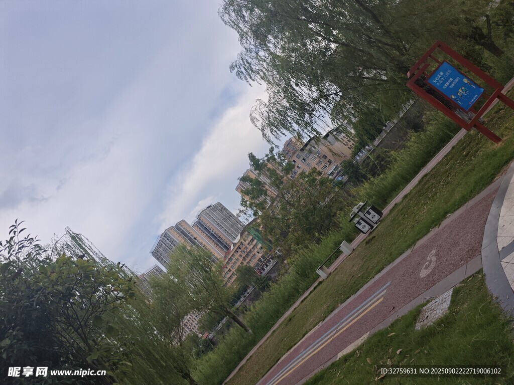 城市中的绿化与建筑景观