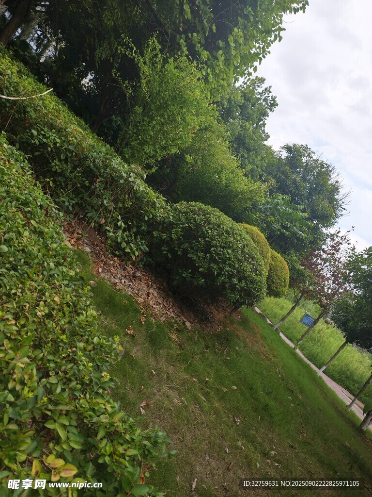 绿意盎然的户外园林景观