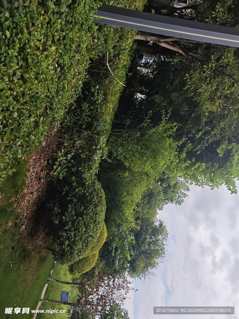 绿意盎然的园林景观