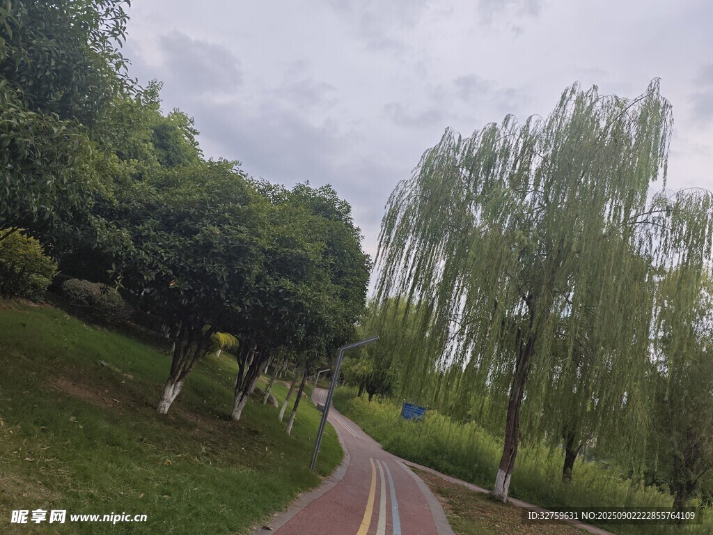 林间蜿蜒小路 