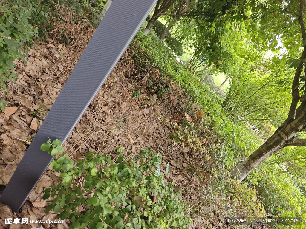 户外绿植旁的黑色金属杆