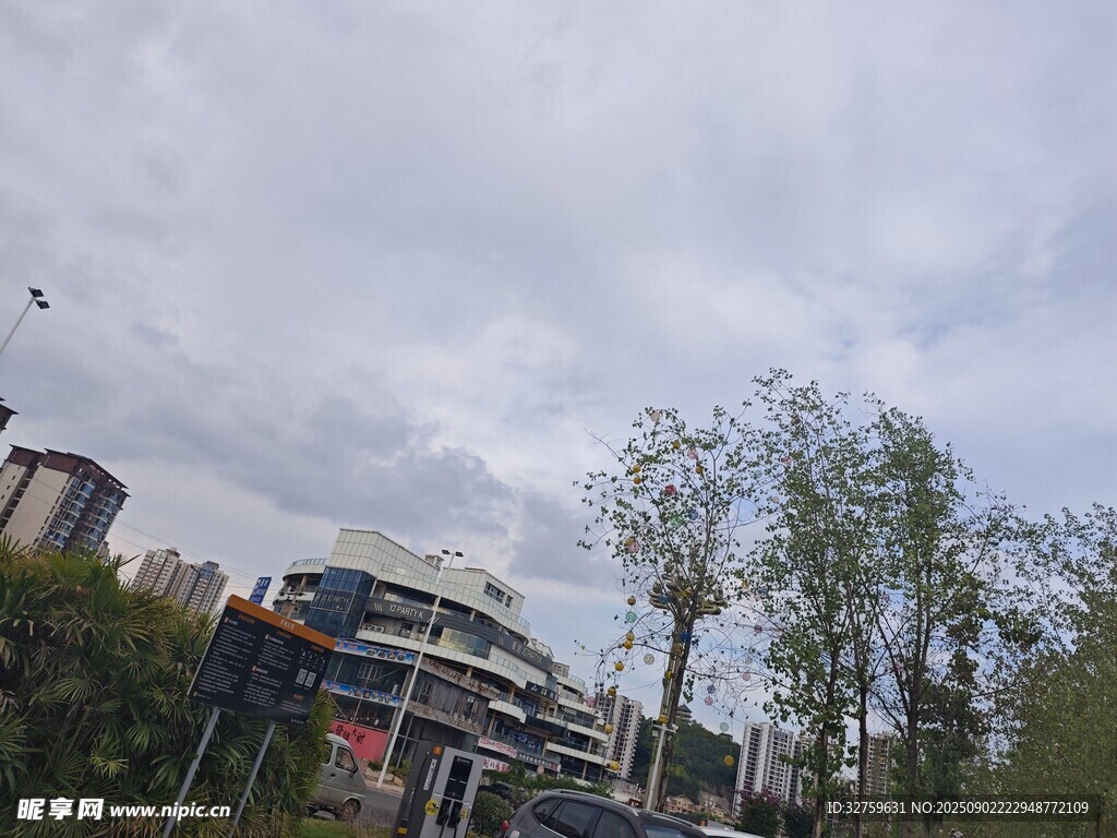 城市户外景观与绿植