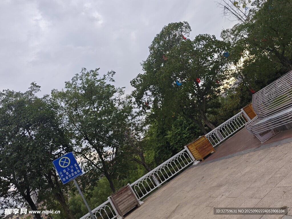 户外道路旁的树木与设施