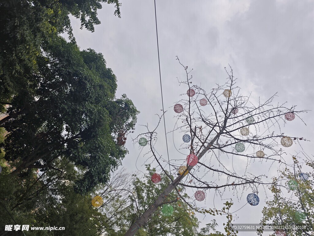 吊车作业于树木间场景
