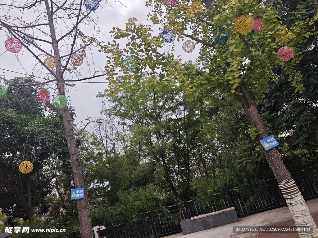 公园中的树木与标识牌