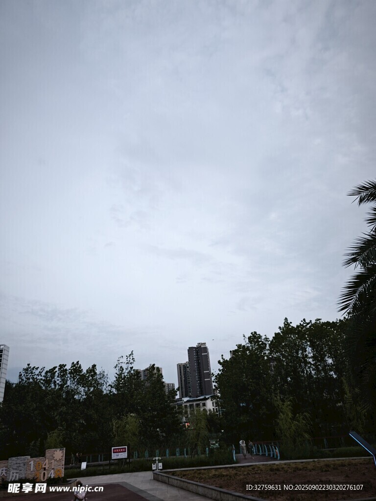 阴天的林间道路景色