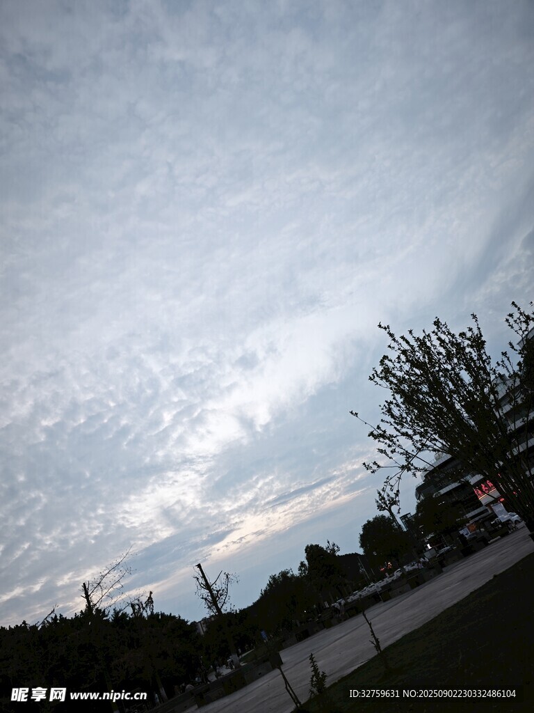 傍晚天空下的树木与道路