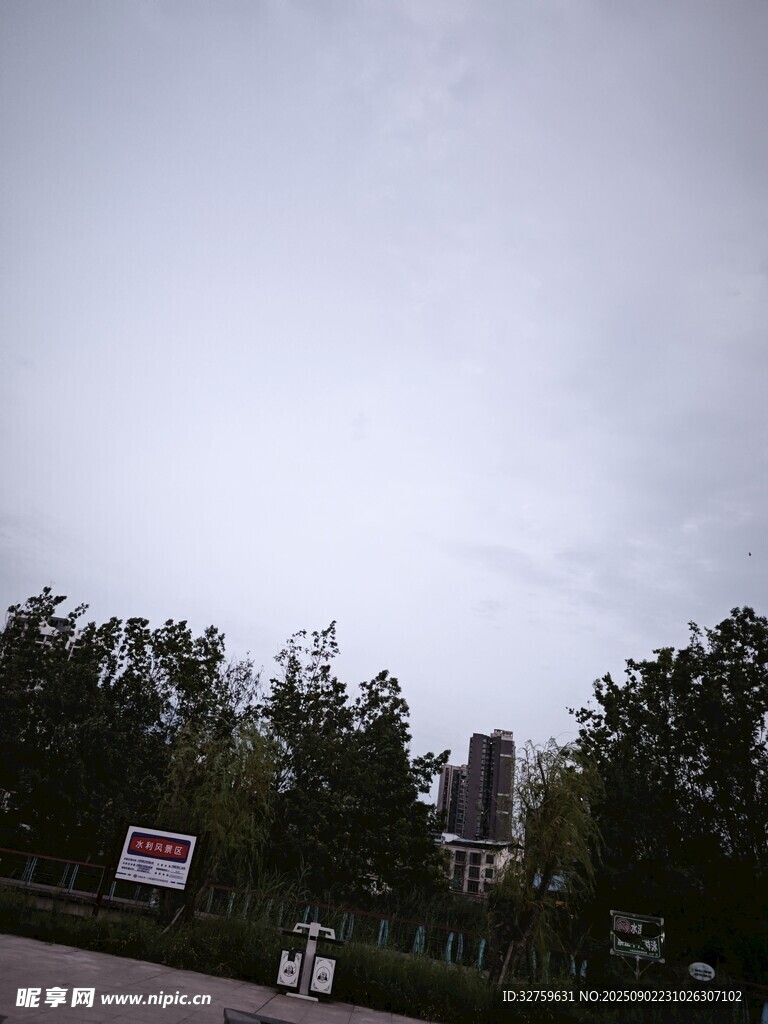 户外阴天时的树木与道路