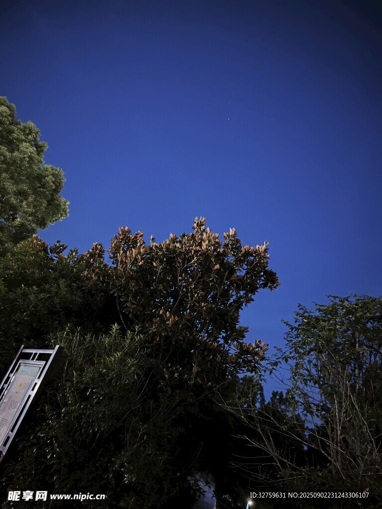 蓝天绿树景象