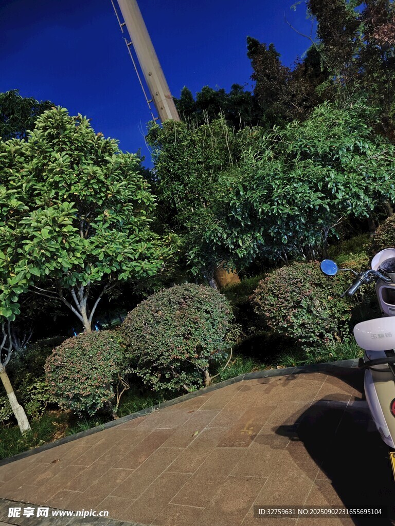 户外绿植环绕的休闲场景
