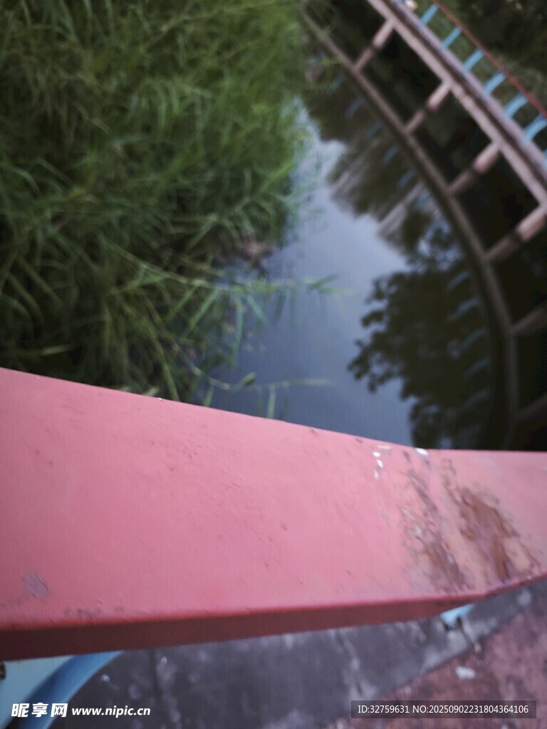 桥上视角下的河流与绿植