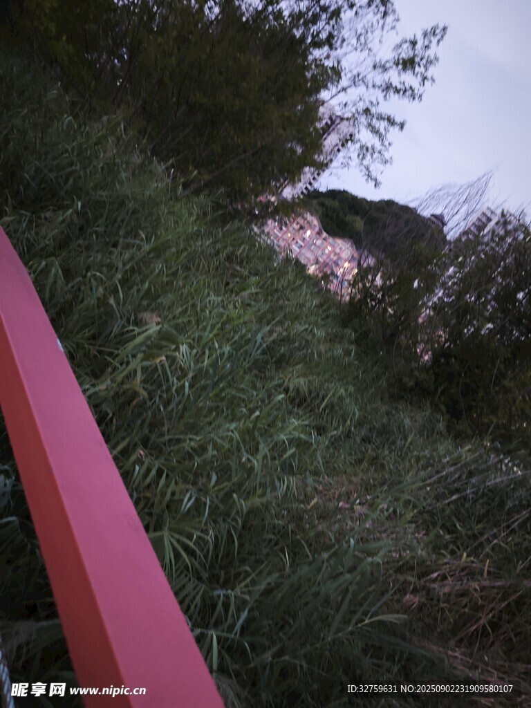红栏杆旁的繁茂绿植